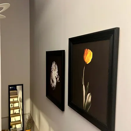 Flower House 9 Apartman