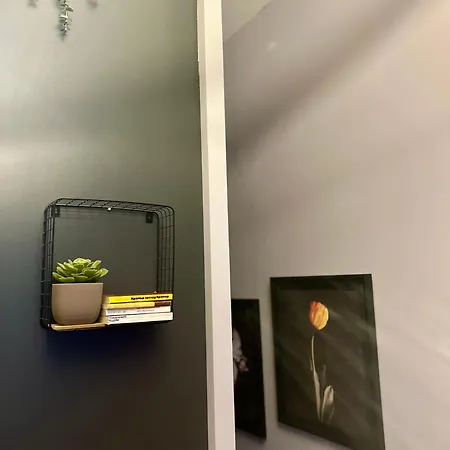 Flower House 9 Sofya