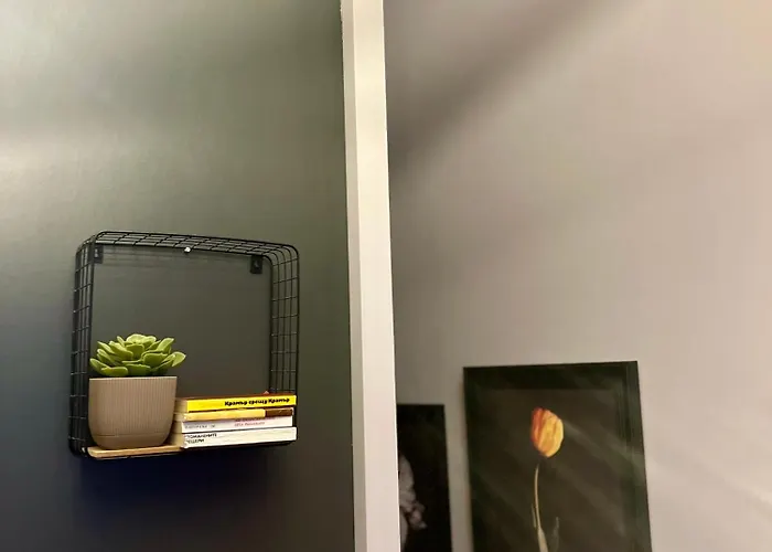 Flower House 9 Sofia